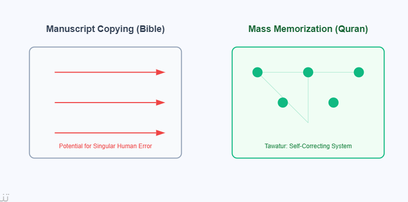 Transmission Comparison