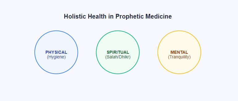 The 3 Dimensions of Health