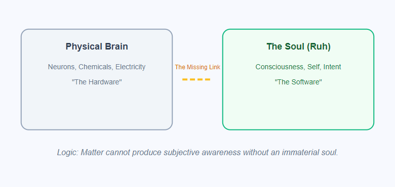 The Gap of Consciousness