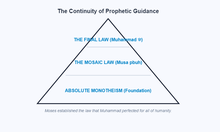 Hierarchy of Prophetic Law