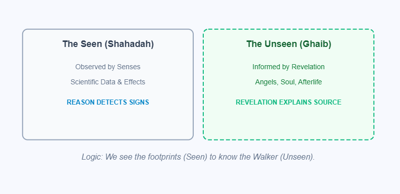 The Epistemological Gap