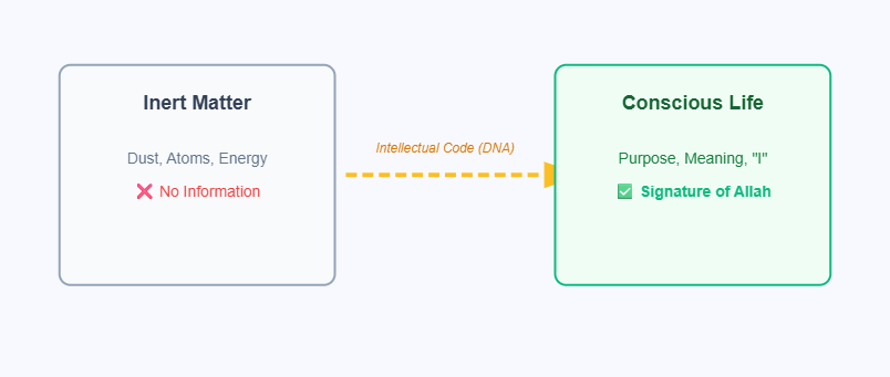 Islam and the Challenge of Atheism