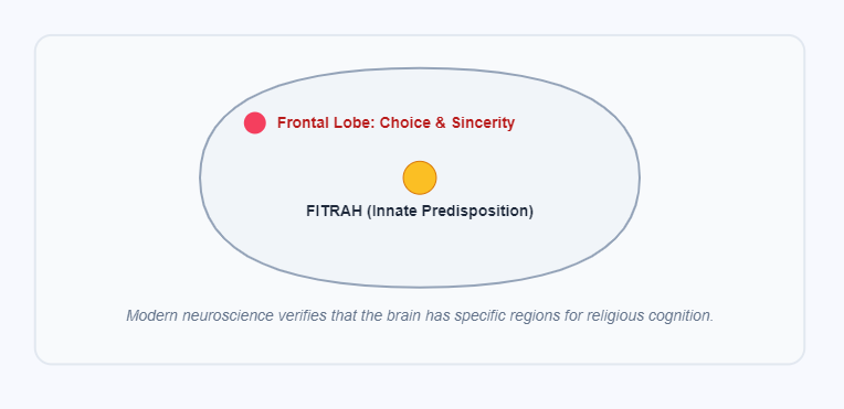 Neural Centers of Faith