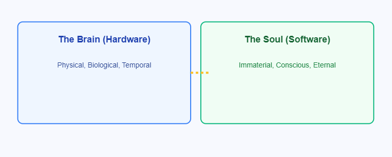 Hardware vs. Software