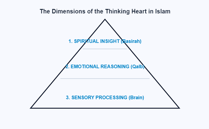 The Hierarchy of Perception
